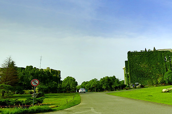女生幼师学校学美术专业怎么样