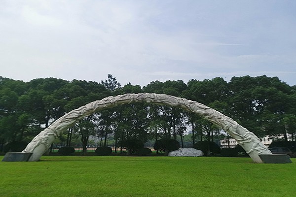 江西中专学校；中专学校学什么专业