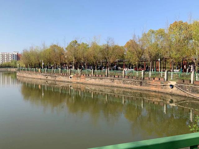 111_已压缩.jpg